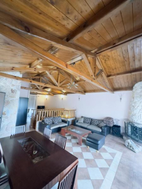 Villa Castello